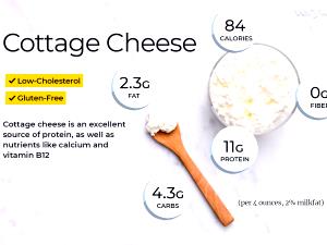 100 G Lowfat (1-2% Fat) Cottage Cheese
