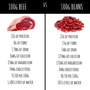 100 G Meat