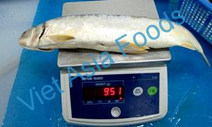 100 G Milkfish