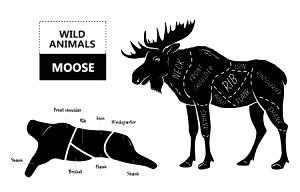 100 G Moose Meat