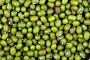 100 G Mothbeans (Mature Seeds, with Salt, Cooked, Boiled)