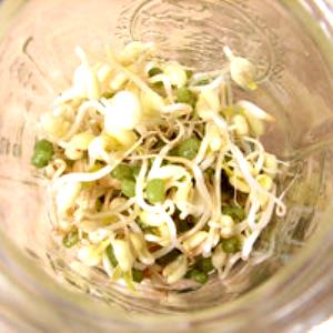 100 G Mung Beans (Mature Seeds, Sprouted, Stir Fried, Cooked)