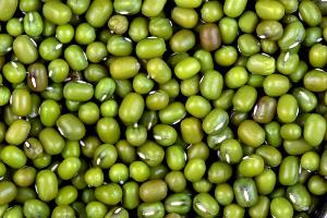 100 G Mung Beans (Mature Seeds)