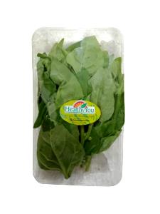 100 G New Zealand Spinach