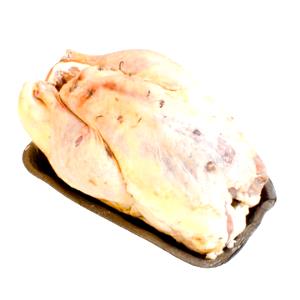 100 G Pheasant Meat and Skin