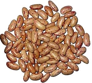 100 G Pinto Beans (Mature Seeds)