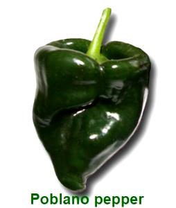 100 G Poblano Pepper