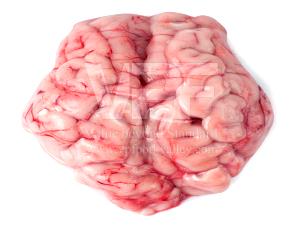 100 G Pork Brain