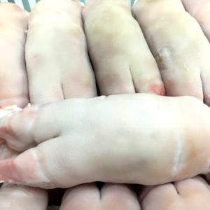 100 G Pork Feet (Frozen, Cooked, Simmered)