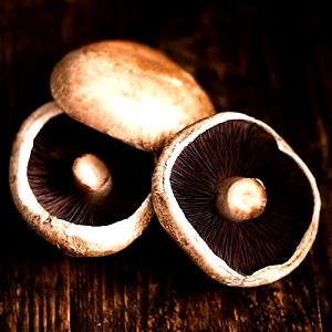100 G Portabella Mushrooms