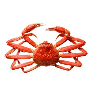 100 G Queen Crab