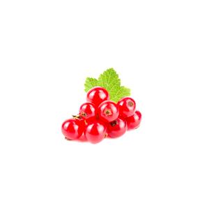 100 G Red and White Currants