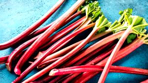 100 G Rhubarb in Heavy Syrup (Cooked or Canned)