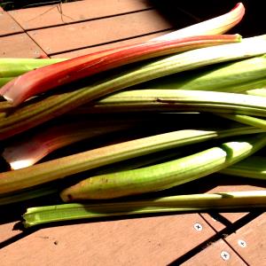 100 G Rhubarb