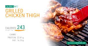 100 G Roasted Broiled or Baked Chicken Thigh