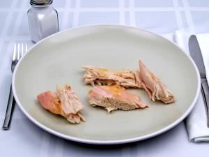 100 G Roasted Light Turkey Meat (Skin Not Eaten)