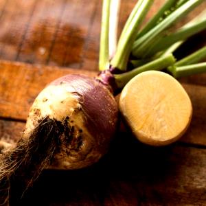 100 G Rutabaga