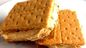 100 G Sandwich Type Graham Crackers with Filling