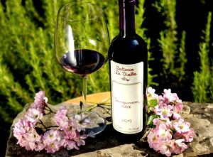 100 G Sangiovese Wine
