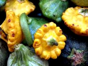 100 G Scallop Summer Squash (Without Salt, Drained, Cooked, Boiled)