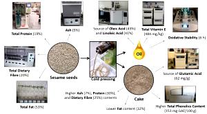 100 G Sesame Meal Seeds (Partially Defatted)