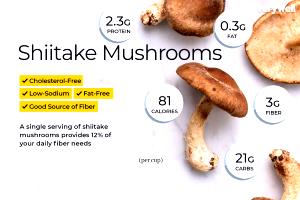 100 G Shiitake Mushrooms (with Salt, Cooked)