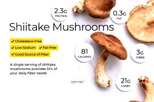 100 G Shiitake Mushrooms (Without Salt, Cooked)