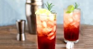 100 G Sloe Gin Fizz