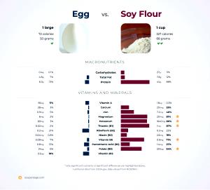 100 G Soy Flour (Low Fat)
