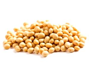 100 G Soybean Lecithin Vegetable Oil