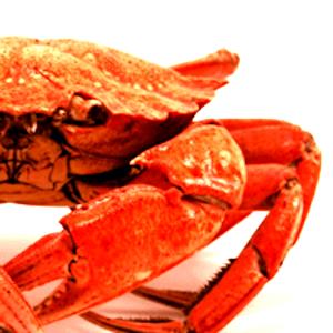 100 G Steamed Hard Shell Crab