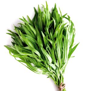 100 G Tarragon