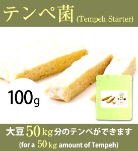 100 G Tempeh
