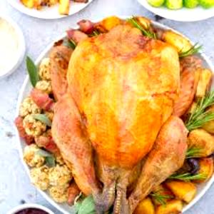 100 G Turkey Back Meat and Skin (Cooked, Roasted)