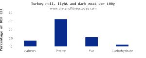 100 G Turkey Roll (Light and Dark Meat)