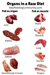 100 G Veal Spleen