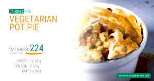 100 G Vegetarian Pot Pie