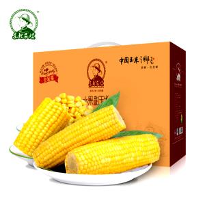100 G White Sweet Corn (Vacuum Pack, Canned)