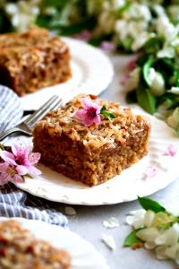 100 G Without Icing Oatmeal Cake