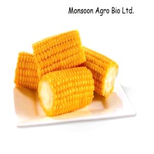 100 G Yellow Sweet Corn (Kernels On Cob, Frozen)