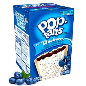 100 Grams Blueberry Toaster Pastry