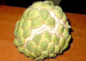 100 Grams Custard Apple, Raw (Bullock