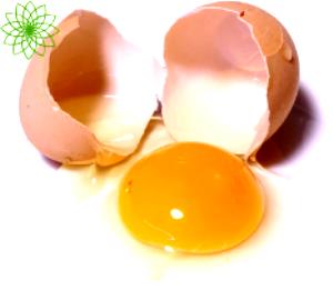 100 Grams Egg, Chicken, Whole, Raw