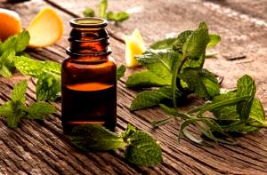 100 Grams Flavor, Peppermint Oil, Kalsec