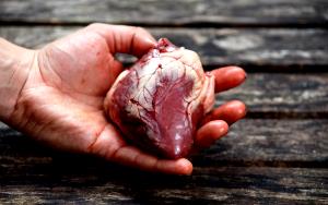 100 Grams Lamb Heart W/Fat, Raw