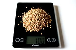 100 Grams Lentils, Dried