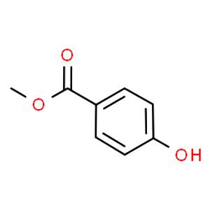 100 Grams Methyl Paraben Nf- M/H 9/8/00
