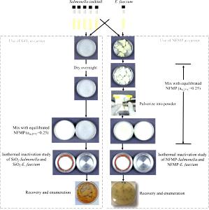 100 Grams Milk, Dry, Nonfat, Challenge