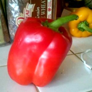 100 Grams Red Pepper, Sweet, Boiled, No Added Salt