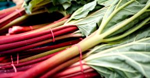 100 Grams Rhubarb, Wild, Leaves, Raw